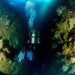 dive63