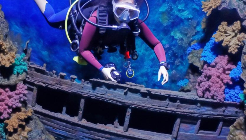 dive7